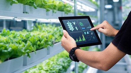 Akıllı Tarım Nedir?