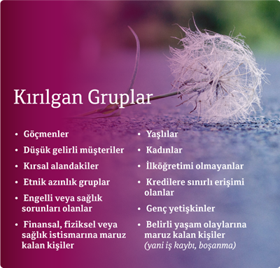 Kırılgan Gruplar